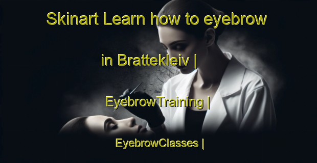Skinart Learn how to eyebrow in Brattekleiv | EyebrowTraining | EyebrowClasses | SkinartTraining-Norway